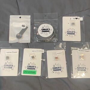 Carlee's Charms Italian bracelet Set